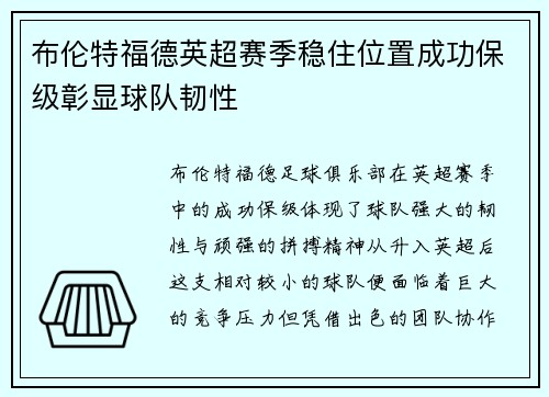 布伦特福德英超赛季稳住位置成功保级彰显球队韧性